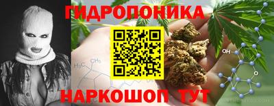ALPHA PVP Краснокаменск