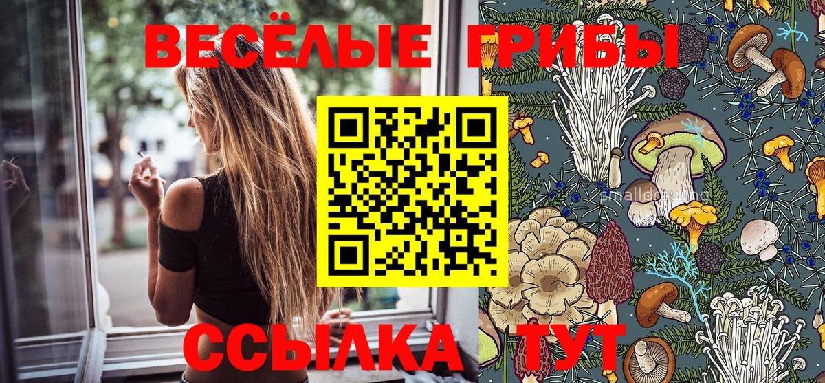 Галлюциногенные грибы ЛСД  Вход с VPN  Махачкала 